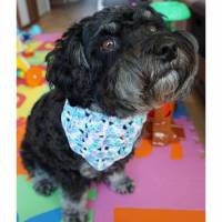 Hundehalstuch Farbverlaufswolle blau & bis 30cm individuell verschließbar  Handmade Bild 1