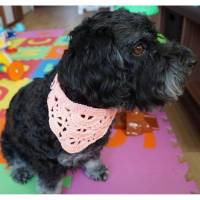 Hundehalstuch rosa bis 33cm individuell verschließbar  amigoll9  Handmade Bild 1