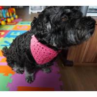 Hundehalstuch Glitzer rosa bis 37 cm individuell verschließbar  amigoll9  Deko  Handmade Bild 1