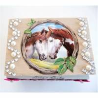 Geldgeschenk Geburtstag Pferd Mädchen Geschenkbox Verpackung Bild 1