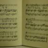 Franz Schubert, Liebesfreud u. Liebesschmerz, 17 Lieder für mittlere Stimme, Deutsche Buchgemeinschaft Berlin,um 1915 Bild 3