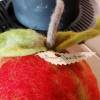 Apfel mit Wurm handgefilzt Bild 2