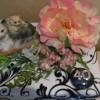 Geldgeschenk 40. Geburtstag Katzen und Blumen Geschenkbox Bild 3