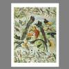 Bunte Vögel Illustration Bild aus dem Lehrbuch - Vintage Shabby Boho - Poster Kunst Druck - Wanddekoration Landhaus Bild 3