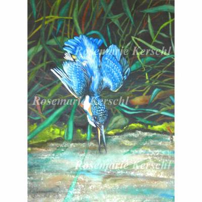 Eisvogel beim Fischen Aquarellbild handgemalt 35 x 24 cm Hochformat