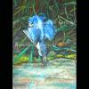 Eisvogel beim Fischen Aquarellbild handgemalt 35 x 24 cm Hochformat Bild 4