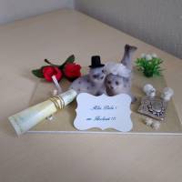 Hochzeit - Geschenk - Brautpaar am Strand - Robben - Geldgeschenk Dekoration Bild 1