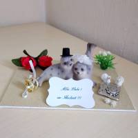 Hochzeit - Geschenk - Brautpaar am Strand - Robben - Geldgeschenk Dekoration Bild 2