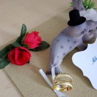 Hochzeit - Geschenk - Brautpaar am Strand - Robben - Geldgeschenk Dekoration Bild 3