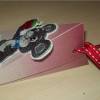 Geldgeschenk Geschenkverpackung - Achtung Mäuse Dreieckschachtel mit Applikation zum Aufbügeln - Nähen Bild 3