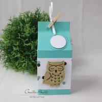 Geschenkverpackung - Milchtüte in Weiß-Mint mit Eule Bild 1