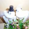 Geldgeschenk Hochzeit Brautpaar - Tauben auf dem Zaun Geschenkidee Bild 5