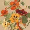 Brunnenkresse Blumenbild 1885 Illustration - Poster Kunstdruck - Vintage Art - Shabby - Kunst - Druck - Wanddeko Bild 3
