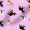 Stoff Hundemotiv "Französische Bulldogge", Baumwoll-Jersey, 50x100cm, viele Farben Bild 10