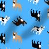 Stoff Hundemotiv "Französische Bulldogge", Baumwoll-Jersey, 50x100cm, viele Farben Bild 8