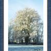 Druckbares Foto - Kunst - Digital -  Download - Printable Photo - Winter im Schlosspark - Stillleben Bild 2
