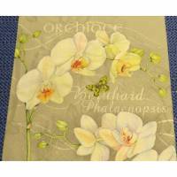 4 Servietten / Motivservietten  Orchideen  / Blumen / Blüten / Knospen / schmetterling  O25 Bild 1