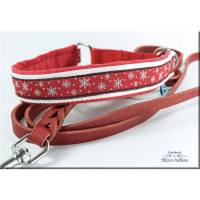 winterliches Halsband Eiskristall mit Zugstopp für deinen Hund, in 2 Farben und 3 Breiten, Hundehalsband Martingale Bild 1
