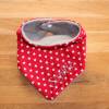 Halstuch für Kinder rot Sterne Fleece grau mit Namen personalisiert / Kinderhalstuch / Babyhalstuch Bild 1