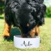 Keramik Futternapf ︎ personalisiert ︎ Hundenapf mit Name Bild 3