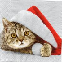 5 Servietten / Motivservietten  Katze mit Weihnachtsmütze T411 Bild 1