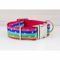 Hundehalsband mit Sternen, Regenbogen, bunt, Streifen, pink, grün, blau, Hund, modern, Gurtband, Halsband Bild 1