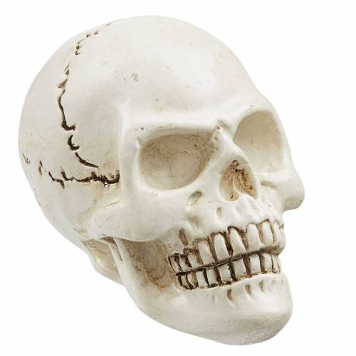Totenkopf / Skull ca. 2,3 cm