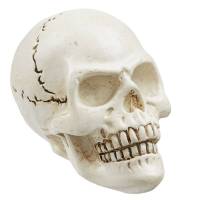 Totenkopf / Skull ca. 2,3 cm Bild 1