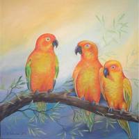 Acrylgemälde Sonnensittiche  - Kunst Papagei Bild Malerei Kunst Vogelmalerei Leinwandbild 70cm x 70cm, Original Bild 1