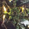 Weihnachtssterne - Adventssterne - Sternanhänger als Schmuck, auch für den Weihnachtsbaum, Klein, Grün Bild 2