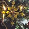 Weihnachtssterne - Adventssterne - Sternanhänger als Schmuck, auch für den Weihnachtsbaum, Klein, Gelb Bild 2