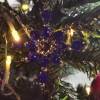 Weihnachtssterne - Adventssterne - Sternanhänger als Schmuck, auch für den Weihnachtsbaum, Klein, Blau Bild 2
