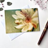Foto Grußkarte Blume - Klappkarte mit Umschlag - Format C6 Bild 1