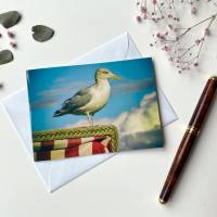 Foto Grußkarte Strandkorb Möwe- Klappkarte mit Umschlag - Format C6 Bild 1