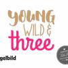 Bügelbild Young Wild and Three oder Wunschzahl zum Geburtstag Bild 6