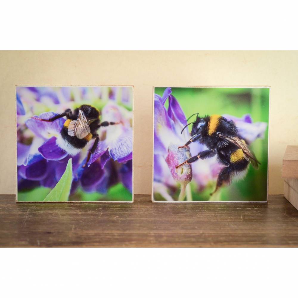 2er Set Biene Blumenwiese Holz, Honig Natur Makro, auf im Foto