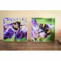 2er Set Biene Blumenwiese Natur Honig Makro, Foto auf Holz, im Quadrat, 13 x 13 cm handmade Bild 1