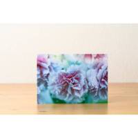 Foto Grußkarte Blume Hortensie - Klappkarte mit Umschlag - Format C6 Bild 2