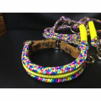 Tau Halsband für kleine Hunde Marke AlsterStruppi, verstellbar Bild 1