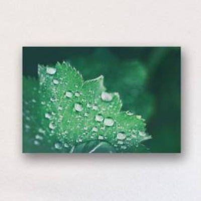 Water Wassertropfen drops Alu-Dibond hochwertiges Alu-Dibond Bild - Wandbild Kunstdruck