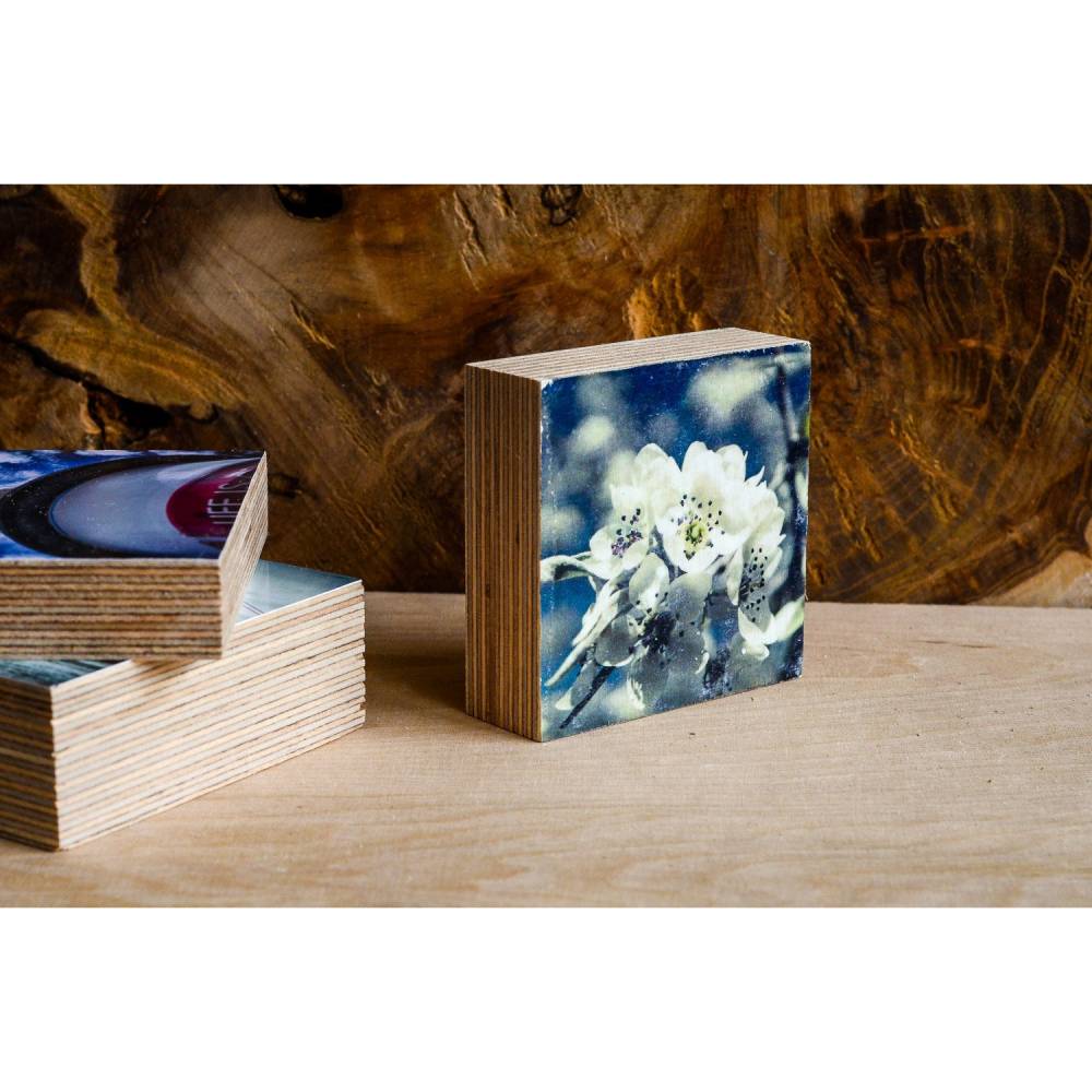 Kirschblüten im Frühling Blüten Holzdruck Quadrat 7,5x7,5 cm Holzbild im Shabby-Stil Photo on Wood gifts gift for her Bild 1