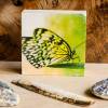 Schmetterling Holzdruck Quadrat 8,5x8,5 cm Holzbild im Shabby-Stil Photo on Wood gifts gift for her Bild 2