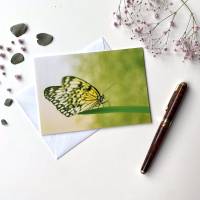 Foto Grußkarte Schmetterling - Klappkarte mit Umschlag - Format C6 Bild 1