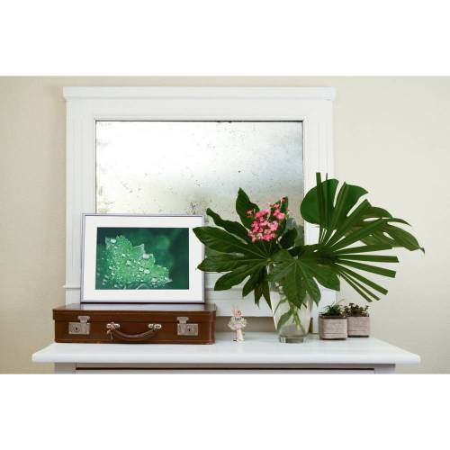 Blatt Wassertropfen Frühling Drops Makro Natur Wald Poster 30 x 40 cm DIN A3 Wandgestaltung Geschenk für sie