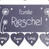 Grünes Türschild aus Holz für Familien mit Namen personalisiert. Haustürschild mit Pusteblumen und Schmetterlinge. Bild 3