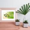 Schmetterling Natur Insekt Makro Aufnahme Foto Pearl Poster 30 x 40 cm Geschenk für sie Bild 2