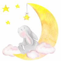 Kinderbild "Gute Nacht kleiner Hase" Bild 2