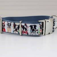 Hundehalsband mit französischer Bulldogge, Hund, modern, Gurtband, Halsband, Hundeleine, Bulldogge, Fotografie Bild 2