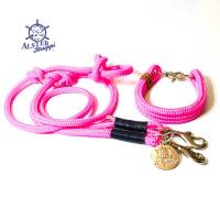 Leine Halsband Set pink, blaues Leder, für kleine Hunde mit 6 mm Tau Bild 1