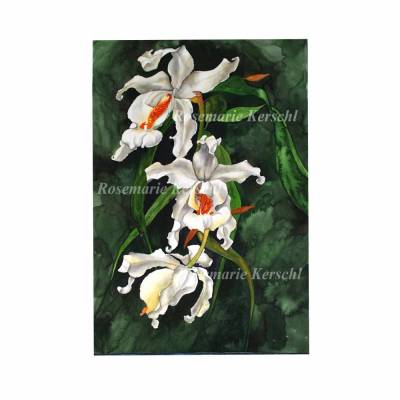 Weiße Orchidee Aquarellbild handgemalt in weiß, hellgelb, ocker, orange und Grüntönen 42 x 30 cm in Hochformat